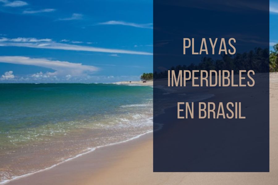 3 PLAYAS IMPERDIBLES DE BRASIL